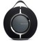 Devialet Mania Deep Black - фото 74513