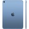 Apple iPad 11” (2025) 512GB Wi-Fi + Cellular Blue - фото 74939