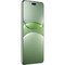 Huawei nova 13 Pro 12/512GB Green - фото 80510