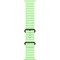 Apple Watch Ultra 3, 49 mm, Black Ocean Band Neon Green - фото 83602