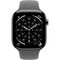 Apple Watch Series 11, 46 mm, Natural Titanium Stone Gray Sport Band SM/ML - фото 84271